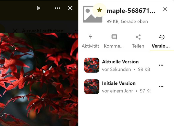 Die Seitenleiste mit dem Reiter "Versionen"