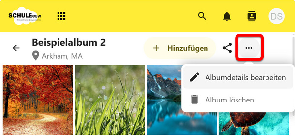 Das Drei-Punkte-Menü für Alben mit den Optionen "Albumdetails bearbeiten" und "Album löschen"