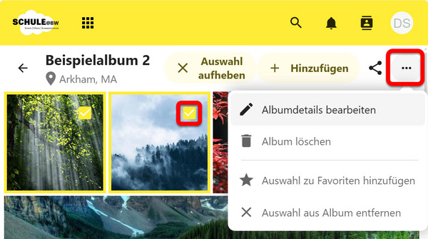 Medienauswahl im Album, Drei-Punkte-Menü mit zwei Zusatzoptionen