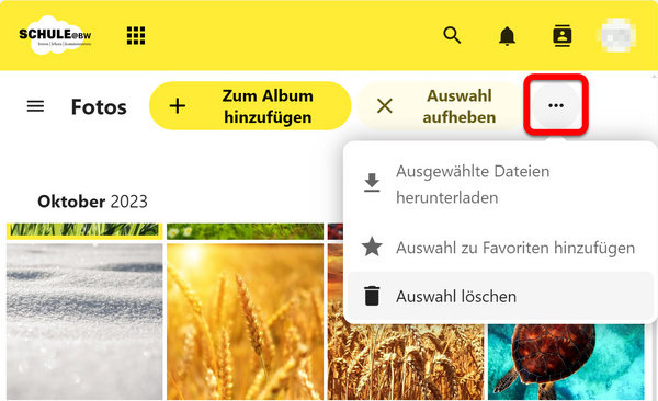 Das Drei-Punkte-Menü in der Filteransicht für Fotos
