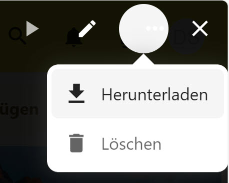 Das geöffnete Drei-Punkte-Menü mit den Optionen "Herunterladen" und "Löschen"
